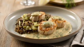Coquilles Saint-Jacques à la Crème with Braised Fennel and Lentils